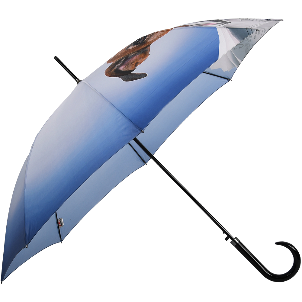 Doppler Long Modern Dog Umbrella - Art Daily